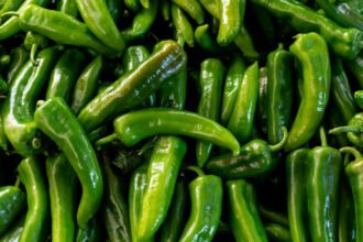 Jalapeno Shortage