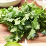 Cilantro Shortage