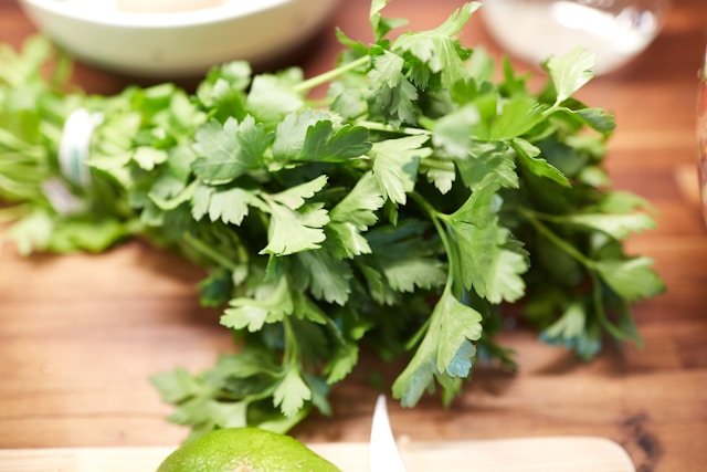 Cilantro Shortage