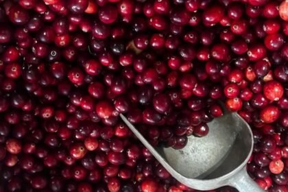 Cranberry Shortage