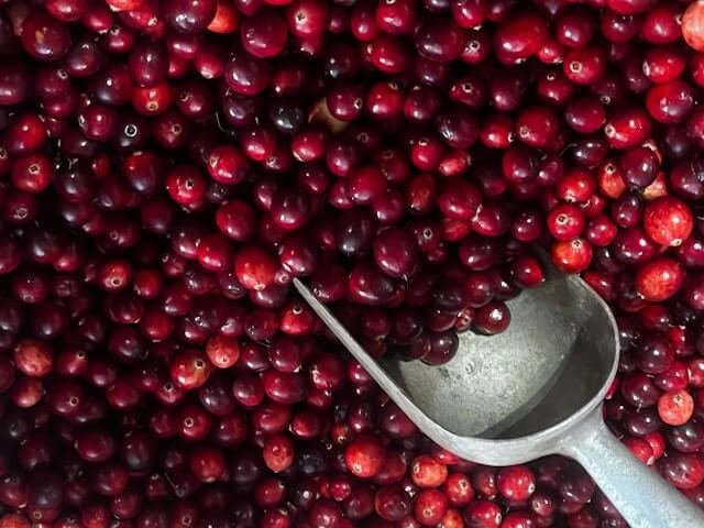 Cranberry Shortage