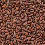 Cocoa Shortage