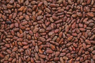 Cocoa Shortage