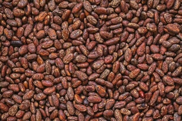 Cocoa Shortage