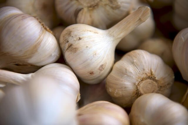 Garlic Shortage
